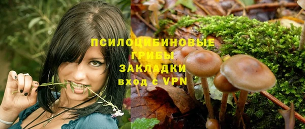 бошки Балахна