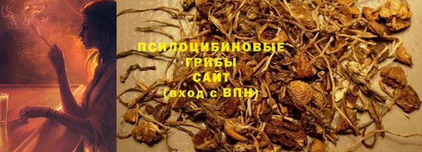 индика Армянск