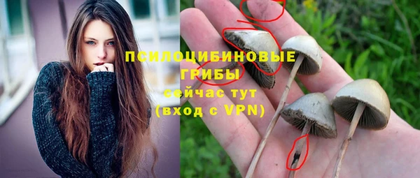 твердый Арсеньев