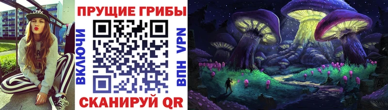 гидра ссылки  Лянтор  Галлюциногенные грибы Psilocybe 